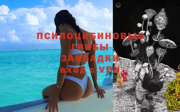 гидропоника Арсеньев