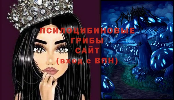 винт Армянск
