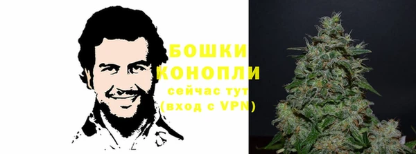винт Армянск