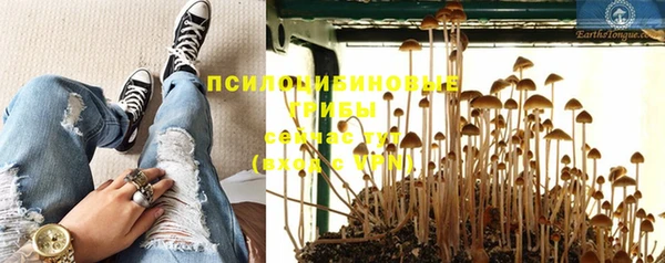 соль ск Аркадак