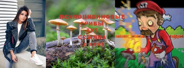 соль ск Аркадак