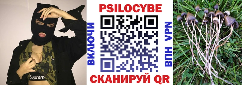 даркнет сайт  Михайловка  Псилоцибиновые грибы GOLDEN TEACHER 